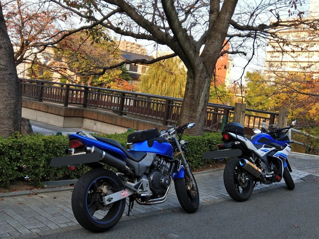 昨日は聲の形の聖地巡礼2回目行ってきた養老公園もなかなか面白い場所だった! 昨日は聲の形の聖地巡礼2回目行ってきた養老公園もなかなか面白い場所だった!