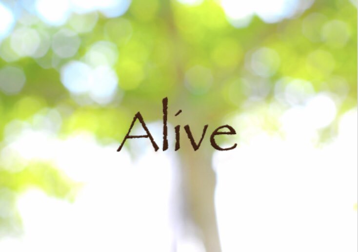 【予約フォーム公開】桜唄WinterLive2018「Alive」2018/12/15/SatOpen 17:45/St 【予約フォーム公開】桜唄WinterLive2018「Alive」2018/12/15/SatOpen 17:45/St