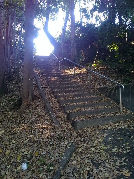 例の階段も行ってきた#ふらいんぐうぃっち 例の階段も行ってきた#ふらいんぐうぃっち