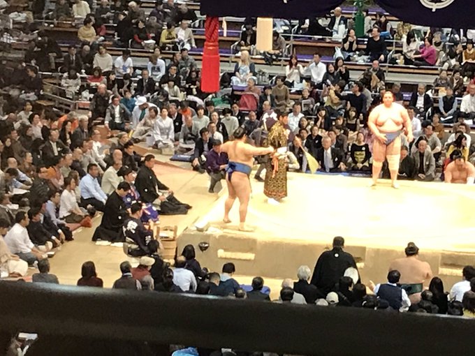大相撲九州場所 幕内 現地 こねこのチー(千代の国)-ブルーマウンテン(碧山) 大相撲九州場所 幕内 現地 こねこのチー(千代の国)-ブルーマウンテン(碧山)