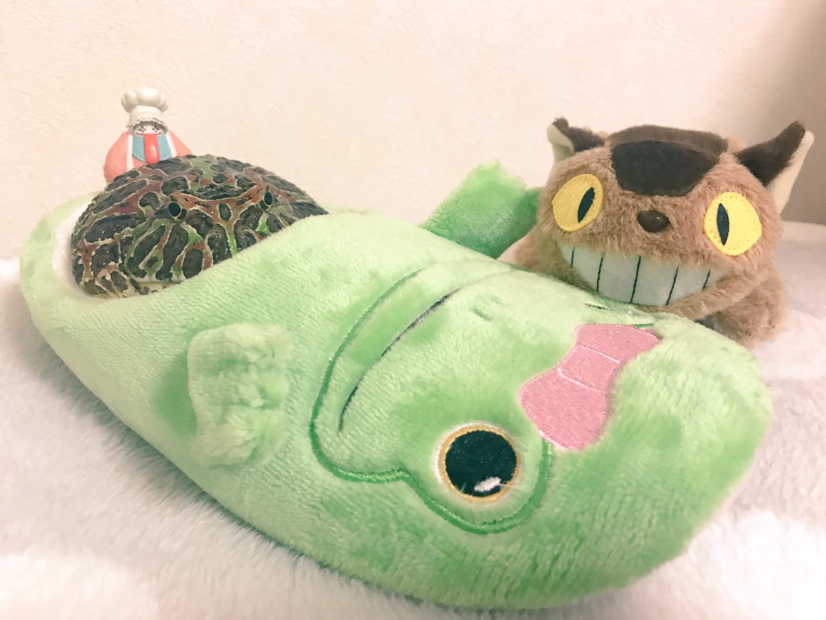 🐸レガリア🚘だよ💖 おはよ💖 🐸デブリ🍉 🐸レガリア🚘だよ💖 おはよ💖 🐸デブリ🍉