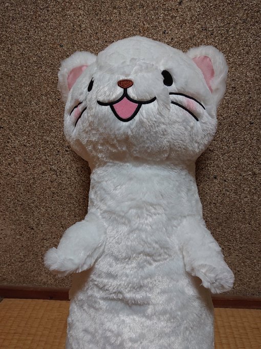 めたーっ!可愛い!お迎え出来ました。 #オコジョとヤマネ めたーっ!可愛い!お迎え出来ました。 #オコジョとヤマネ