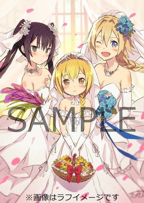 【Blu-ray法人オリジナル特典】アニメイト全巻購入特典はしょういん描き下ろしB2布製ポスターです✨団長・山猫・錬金の 【Blu-ray法人オリジナル特典】アニメイト全巻購入特典はしょういん描き下ろしB2布製ポスターです✨団長・山猫・錬金の