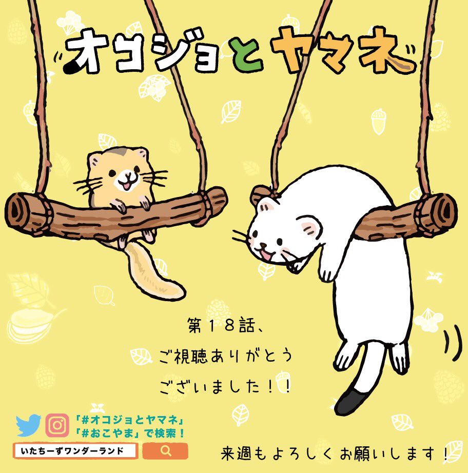 足…というより「胴、かや〜」----昨日はご視聴ありがとうございました😊珍しくヤマネの方がマイペースすぎるオコジョを心配 足…というより「胴、かや〜」----昨日はご視聴ありがとうございました😊珍しくヤマネの方がマイペースすぎるオコジョを心配