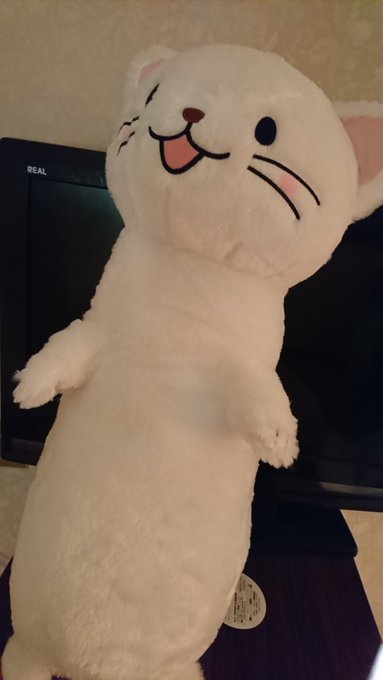めたーっ!ようやくゲットしてこれました! 秋葉原では狩り尽くされてしまったようなので池袋で捕獲!池袋、ここ数ヶ月はオコヤ めたーっ!ようやくゲットしてこれました! 秋葉原では狩り尽くされてしまったようなので池袋で捕獲!池袋、ここ数ヶ月はオコヤ