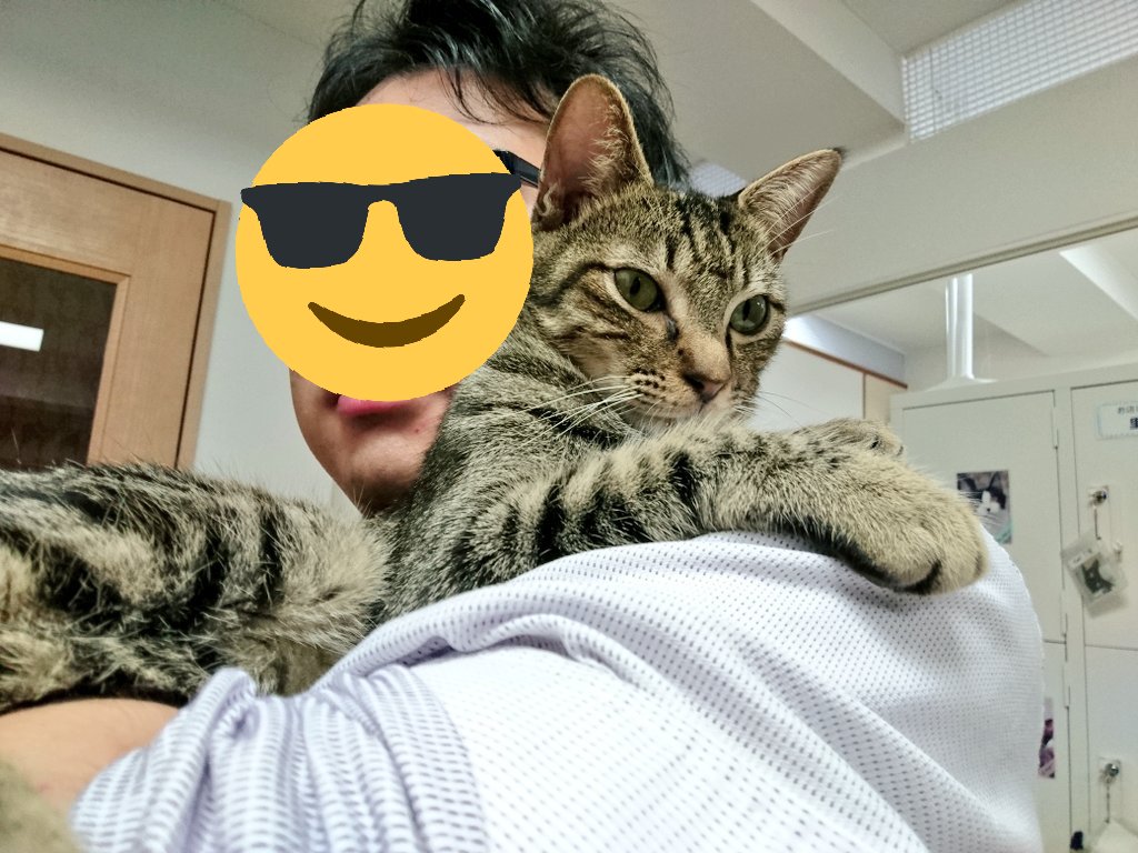 久々の肩乗りもんちゃん(=゚ω゚=)でも相変わらず男の子にしか甘えられない(^^;#保護猫カフェ #猫カフェ#たまゆら# 久々の肩乗りもんちゃん(=゚ω゚=)でも相変わらず男の子にしか甘えられない(^^;#保護猫カフェ #猫カフェ#たまゆら#