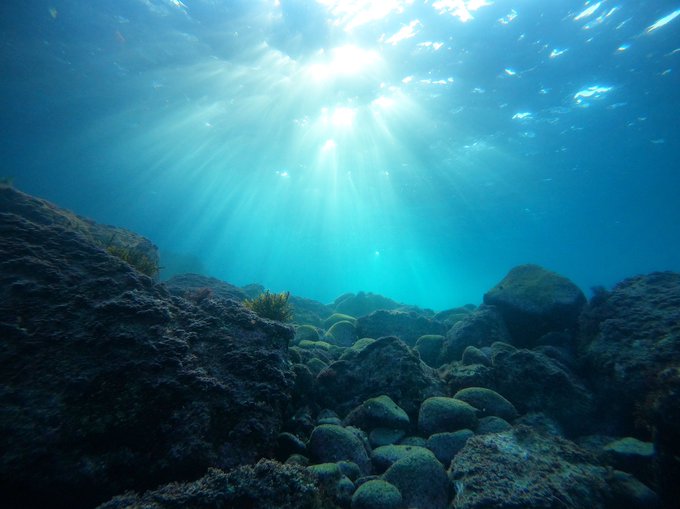 この時期は太陽が低く潮が満ちてる午後の浅場の景色は 「息を飲む。」とはこの事だと思わされます。沢山の人にこの景色を見ても この時期は太陽が低く潮が満ちてる午後の浅場の景色は 「息を飲む。」とはこの事だと思わされます。沢山の人にこの景色を見ても