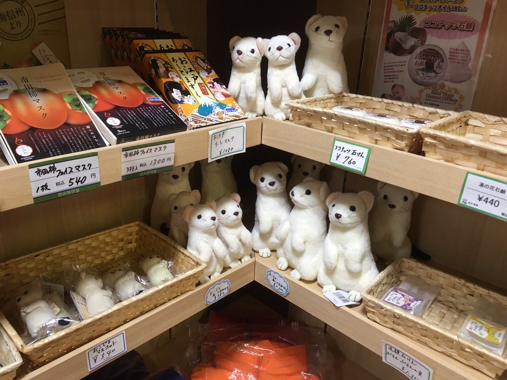 最後になりましたが、オコジョとヤマネ、毎週楽しみに拝見しております! あの1分間が至福です…✨オコヤマのオコジョちゃん 最後になりましたが、オコジョとヤマネ、毎週楽しみに拝見しております! あの1分間が至福です…✨オコヤマのオコジョちゃん