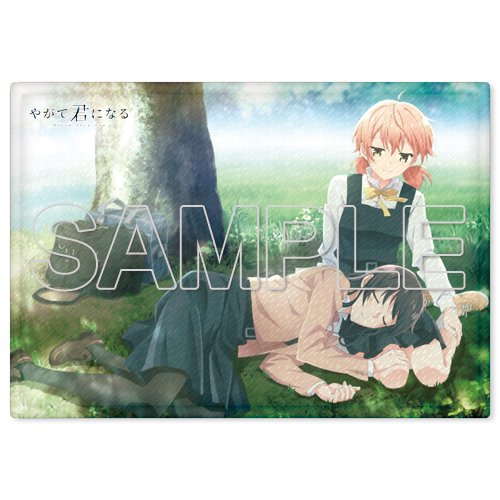 【予約】『やがて君になる』もふふわブランケット侑と燈子の穏やかなひと時を描いたイラストが、もふふわのブランケットに! 2 【予約】『やがて君になる』もふふわブランケット侑と燈子の穏やかなひと時を描いたイラストが、もふふわのブランケットに! 2