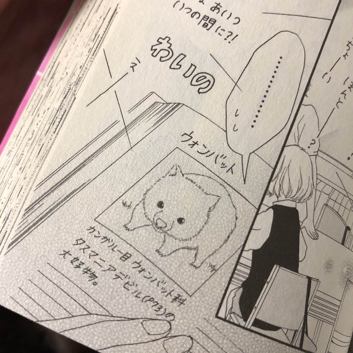 アオハライド何年ぶりに読んでたらウォンバットがいた!気づかなかった… アオハライド何年ぶりに読んでたらウォンバットがいた!気づかなかった…