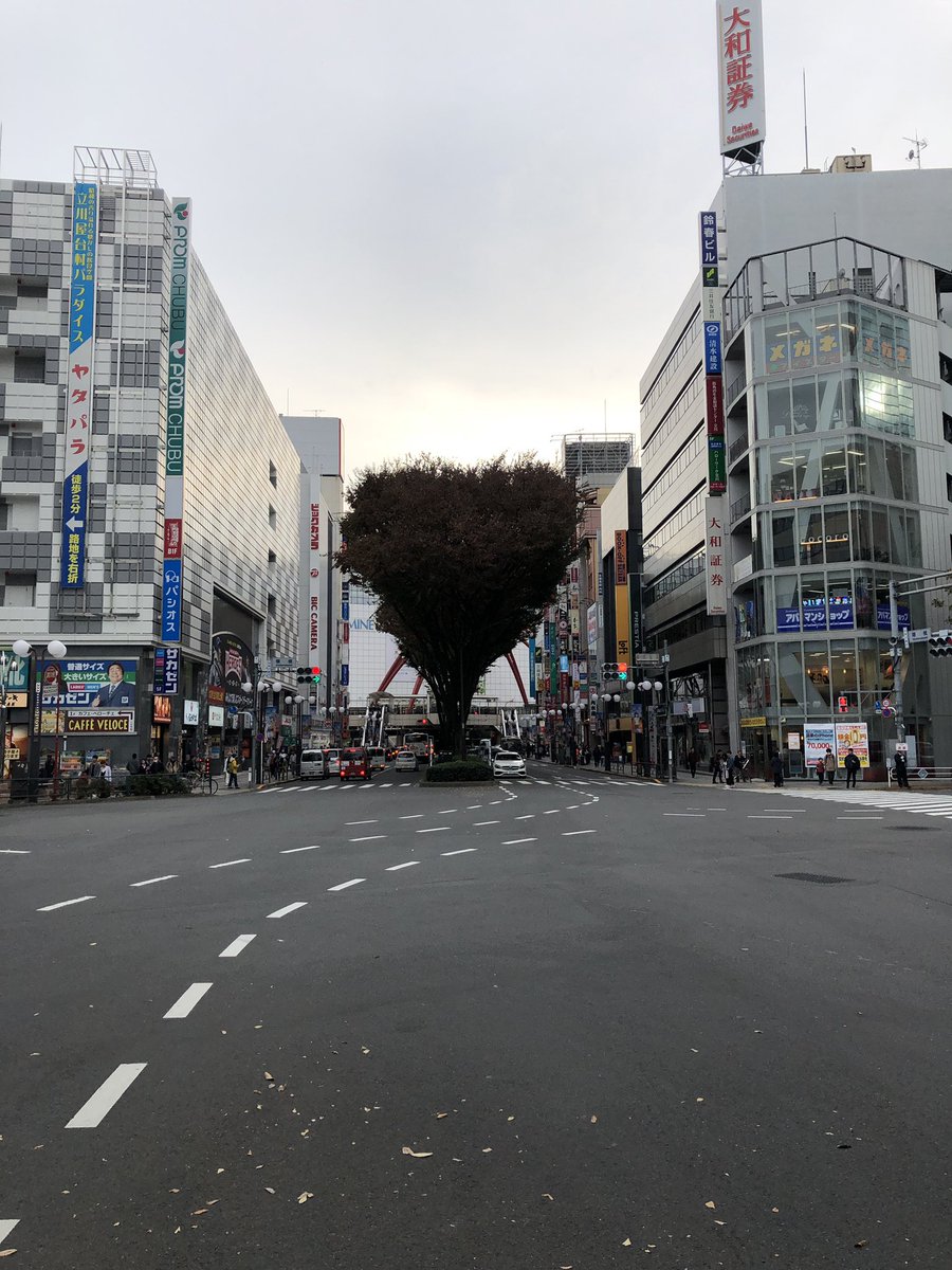 もう冬口だから木が寂しい……#ガッチャマンクラウズ もう冬口だから木が寂しい……#ガッチャマンクラウズ