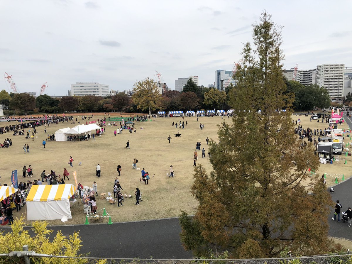 この広大な日常の下に守人たちの憩いの場がある #ガッチャマンクラウズ この広大な日常の下に守人たちの憩いの場がある #ガッチャマンクラウズ