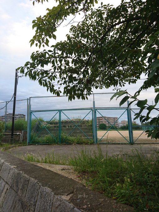長門さんの場外ホームランが炸裂した西宮中央運動公園と、大魔導士長門有希のメドローアが炸裂したみくる池#西宮市#長門有希生 長門さんの場外ホームランが炸裂した西宮中央運動公園と、大魔導士長門有希のメドローアが炸裂したみくる池#西宮市#長門有希生