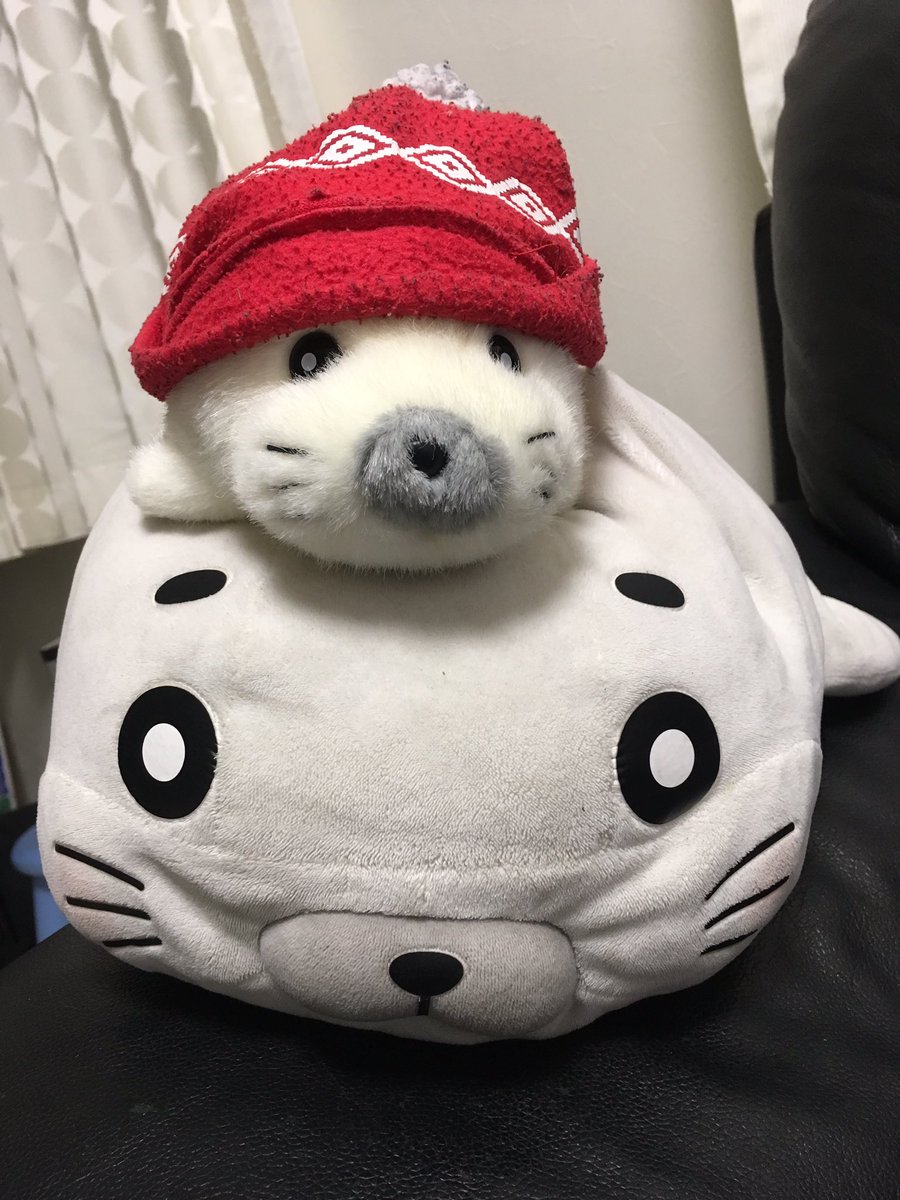 赤帽子ゴマちゃんに小さなゴマちゃんを合わせてみたら、なんかいい感じ#ゴマちゃん#少年アシベ#森下裕美 赤帽子ゴマちゃんに小さなゴマちゃんを合わせてみたら、なんかいい感じ#ゴマちゃん#少年アシベ#森下裕美