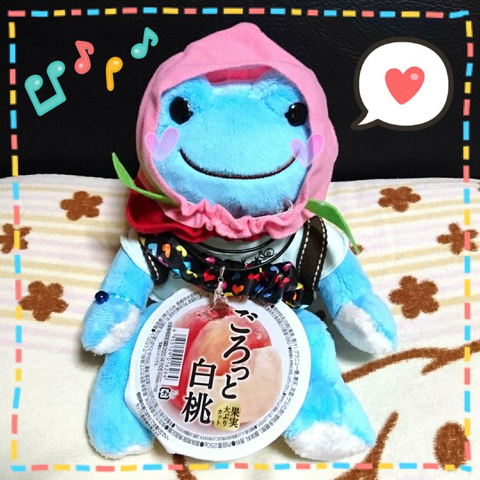 フルーツパーラーに憧れている、ウチのそらじろうに、家族が桃のゼリーを買ってきてくれました😊🌸そら)嬉しいケロ~🐸🎶💕まめ フルーツパーラーに憧れている、ウチのそらじろうに、家族が桃のゼリーを買ってきてくれました😊🌸そら)嬉しいケロ~🐸🎶💕まめ