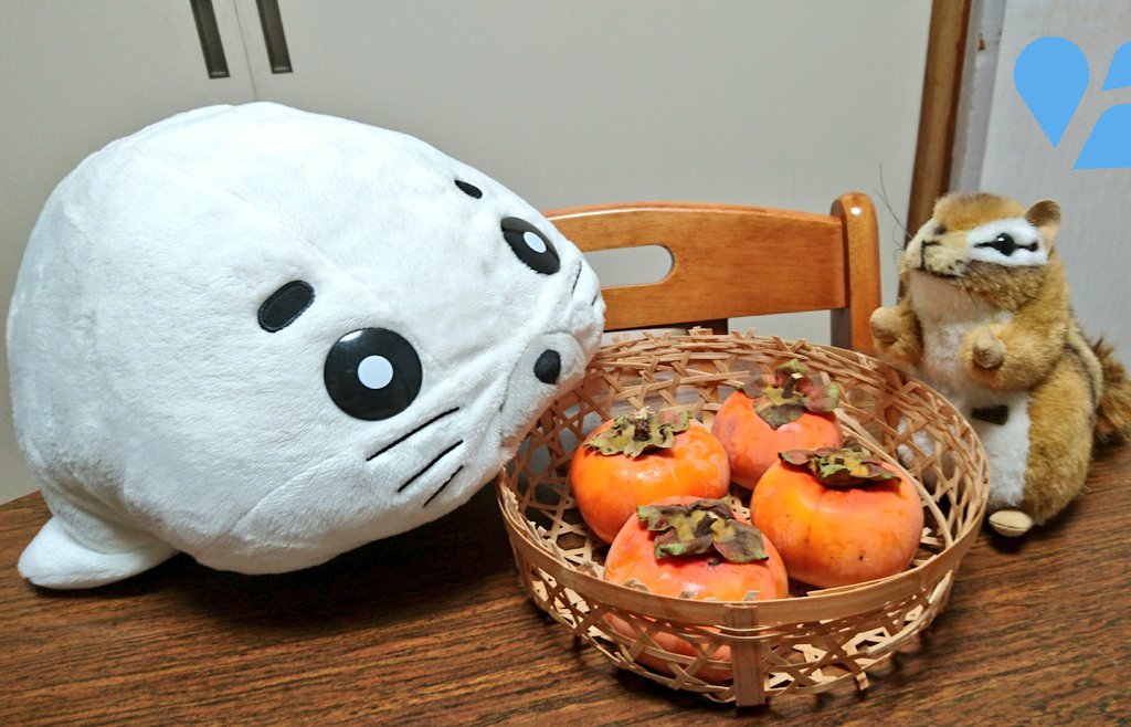 ゴマ「じーーー…」(¯・ω・¯) ゴクリリス「こ…これ牡蠣じゃないよ! ぼ…ぼくのおやつの柿だから💦」🐿️💦 ゴマ「じーーー…」(¯・ω・¯) ゴクリリス「こ…これ牡蠣じゃないよ! ぼ…ぼくのおやつの柿だから💦」🐿️💦