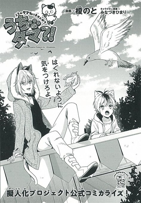 WEBコミック【ジーンピクシブ】にて「うちタマ?!」第11話が更新されました!ノラって普段なにしてるんだろ…? いますぐ WEBコミック【ジーンピクシブ】にて「うちタマ?!」第11話が更新されました!ノラって普段なにしてるんだろ…? いますぐ