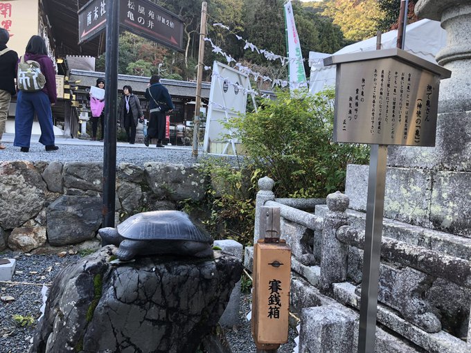 松尾大社の神使の亀様。ぎんぎつね読みたくなる! 松尾大社の神使の亀様。ぎんぎつね読みたくなる!
