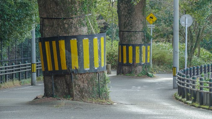 色づく世界の明日から 長崎聖地巡礼。9話、諏訪神社の上の六角道。このためだけに坂を登ったり…ここで坂登ったあとに降りて若 色づく世界の明日から 長崎聖地巡礼。9話、諏訪神社の上の六角道。このためだけに坂を登ったり…ここで坂登ったあとに降りて若