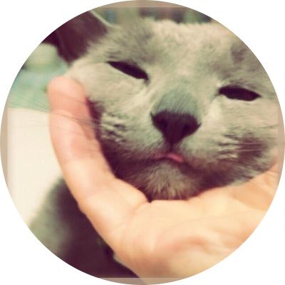 チャイカも華大さんが好きだったんですよ🐱(☆ФωФ)ノニャーン♪ チャイカも華大さんが好きだったんですよ🐱(☆ФωФ)ノニャーン♪