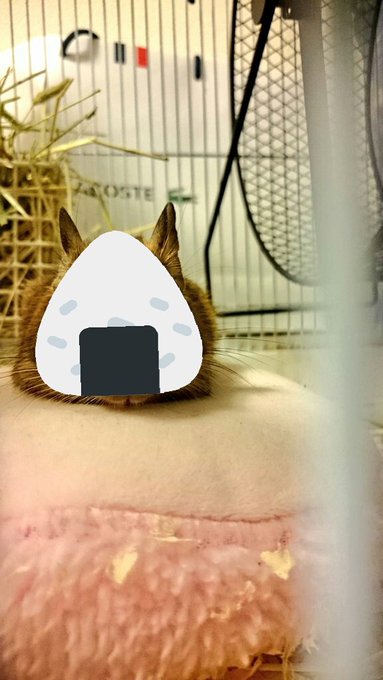 やっぱ顔🍙型だな~ってスタンプはりまくってたら、なんだかフォルダがサイコパス感w やっぱ顔🍙型だな~ってスタンプはりまくってたら、なんだかフォルダがサイコパス感w
