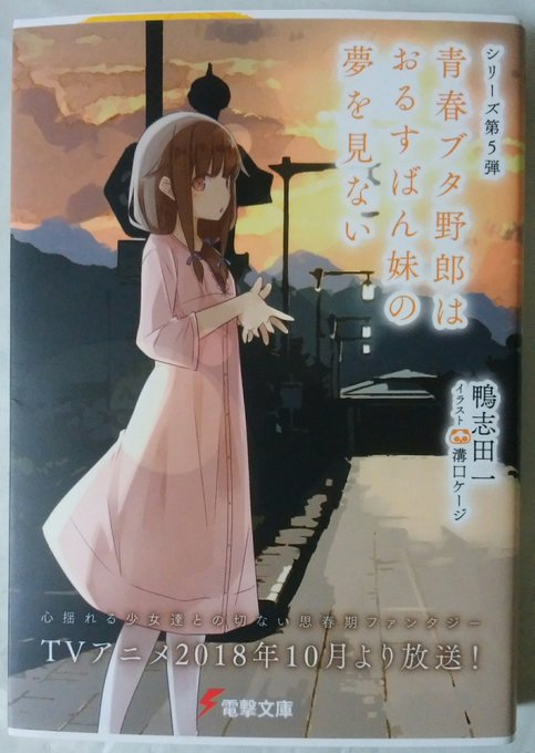 青春ブタ野郎はおるすばん妹の夢を見ない 読了「学校に行く」という大きな目標を達成するまでに、かえでと咲太は一緒に少しずつ 青春ブタ野郎はおるすばん妹の夢を見ない 読了「学校に行く」という大きな目標を達成するまでに、かえでと咲太は一緒に少しずつ