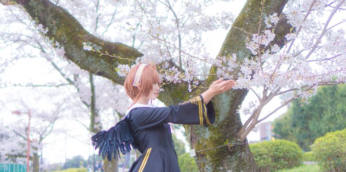 ❀❀❀また逢えるよね❀❀❀____カードキャプターさくら___ ❀❀❀また逢えるよね❀❀❀____カードキャプターさくら___