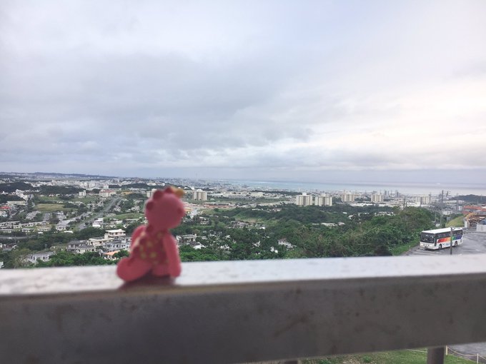 沖縄から帰宅🌺🌴がんこちゃん(りったんの分身)長旅お疲れ様でした😚🐰飛行機からの景色も素敵でした🤩 沖縄から帰宅🌺🌴がんこちゃん(りったんの分身)長旅お疲れ様でした😚🐰飛行機からの景色も素敵でした🤩