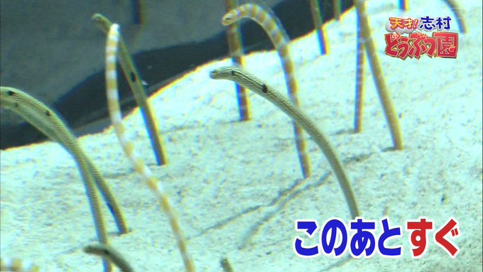 下セカ 下セカ