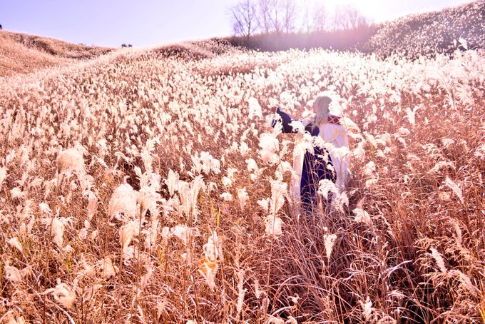 コスプレ魔法使いの嫁リンデル「昼に瞬く秋の星」photo とりさん#cosplay#コスナビ コスプレ魔法使いの嫁リンデル「昼に瞬く秋の星」photo とりさん#cosplay#コスナビ