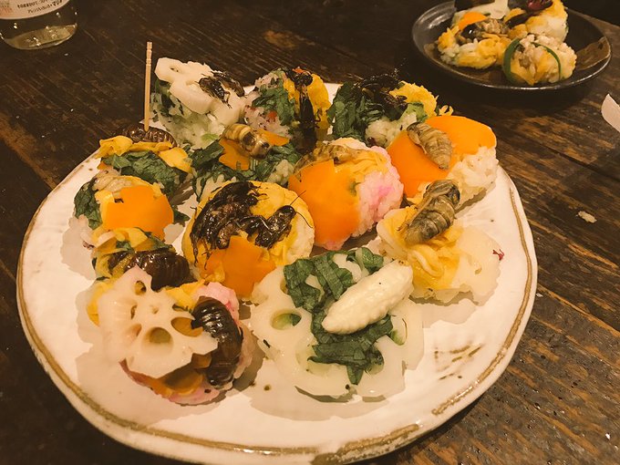 蟻卵、セミ、スズメバチ、コオロギを彩りよく丸めた手まり寿司。虫寿司って伝統な昆虫食とも違うし、主流路線の未来食とも違って 蟻卵、セミ、スズメバチ、コオロギを彩りよく丸めた手まり寿司。虫寿司って伝統な昆虫食とも違うし、主流路線の未来食とも違って