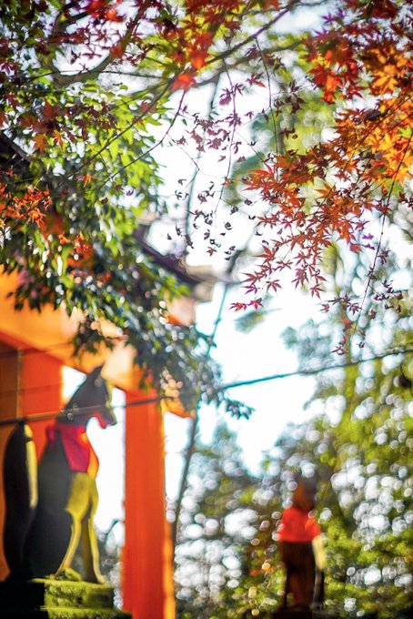 いなりこんこん⛩#伏見稲荷大社 #オールドレンズ いなりこんこん⛩#伏見稲荷大社 #オールドレンズ