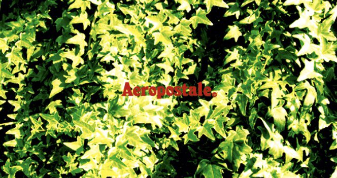 AEROPOSTALEさんが「URAHARA POP-UP STORE」に出店します!店舗情報はからチェック☆ AEROPOSTALEさんが「URAHARA POP-UP STORE」に出店します!店舗情報はからチェック☆