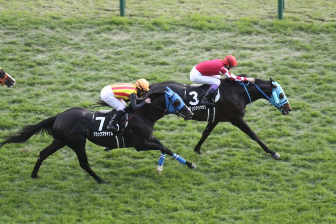 【 #有馬記念 19頭登録】オジュウチョウサンキセキクリンチャーサウンズオブアースサクラアンプルールサトノダイヤモンドシ 【 #有馬記念 19頭登録】オジュウチョウサンキセキクリンチャーサウンズオブアースサクラアンプルールサトノダイヤモンドシ