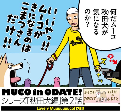 本日はイブニング24号発売日!戌年最後を飾る『いとしのムーコ』のシリーズ「秋田犬編」は第2話!!こまつさんと秋田の県北・ 本日はイブニング24号発売日!戌年最後を飾る『いとしのムーコ』のシリーズ「秋田犬編」は第2話!!こまつさんと秋田の県北・