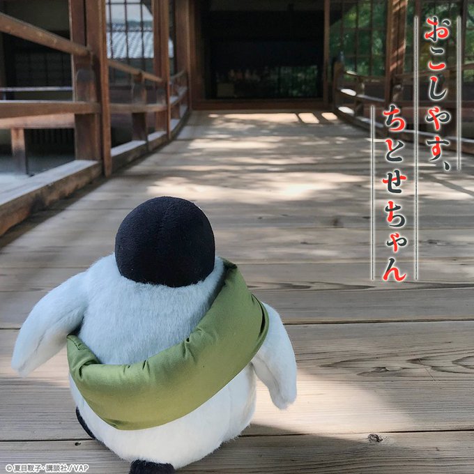 🐧#もふもふちとせちゃんのお散歩 🐾#風神様💨 の真似をして駆け抜けた #建仁寺 の廊下を歩く #ちとせちゃん 🎵✨その 🐧#もふもふちとせちゃんのお散歩 🐾#風神様💨 の真似をして駆け抜けた #建仁寺 の廊下を歩く #ちとせちゃん 🎵✨その