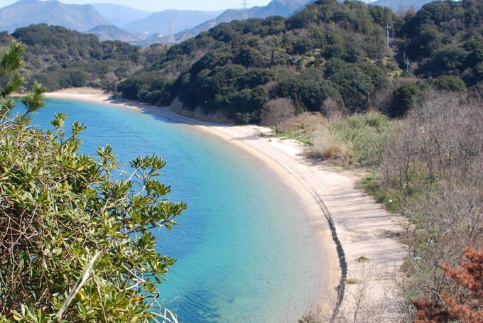 今日は、11月29日、いい肉の日!島民10人、牛500頭の小豊島(おでしま)は、オリーブ牛をはじめ、多くの肉牛を育ててい 今日は、11月29日、いい肉の日!島民10人、牛500頭の小豊島(おでしま)は、オリーブ牛をはじめ、多くの肉牛を育ててい
