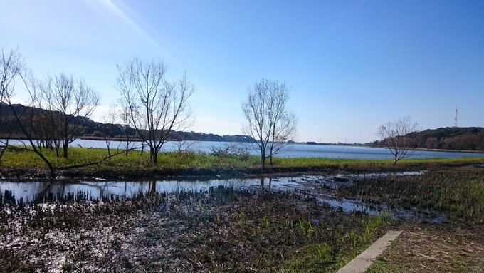 苺ましまろの聖地(?)、佐鳴湖に来た。十数年越しの夢が叶った... 苺ましまろの聖地(?)、佐鳴湖に来た。十数年越しの夢が叶った...