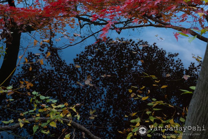 Fuji X-T2 + Touit 32。いやー良い。ハードウェアもRAWも扱いやすいし。最近悪縁が向こうからどんどん断 Fuji X-T2 + Touit 32。いやー良い。ハードウェアもRAWも扱いやすいし。最近悪縁が向こうからどんどん断
