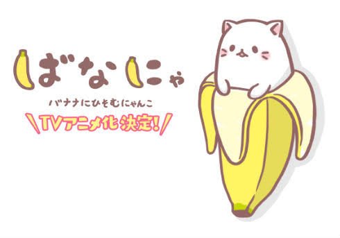 ばなにゃ!(=゚ω゚=) ばなにゃ!(=゚ω゚=)