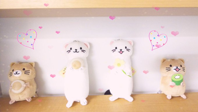 なんとなんとーーー弊社に可愛すぎる仲間が増えました!オコヤマーズですぞーーー💕ヽ(*´∀`)ノ💕ありがとうございます💕な なんとなんとーーー弊社に可愛すぎる仲間が増えました!オコヤマーズですぞーーー💕ヽ(*´∀`)ノ💕ありがとうございます💕な