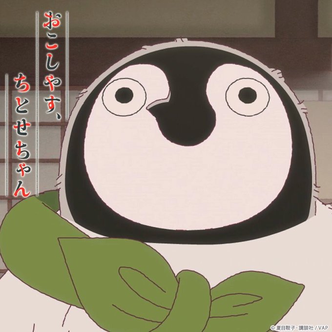 今日はちとせちゃんに会える日です🐧💕11月30日(金)25:35〜『おこしやす、ちとせちゃん』9羽目#TOKYOMX ・ 今日はちとせちゃんに会える日です🐧💕11月30日(金)25:35〜『おこしやす、ちとせちゃん』9羽目#TOKYOMX ・