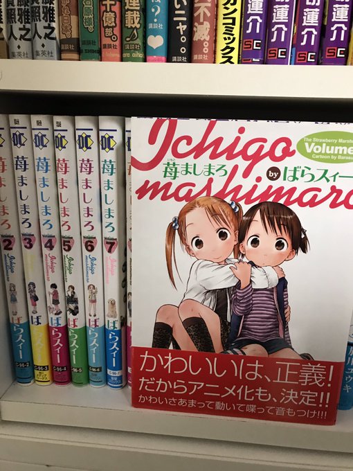 苺ましまろ帯の通り、かわいいは正義これが最初なのかな?小学生の女の子4人と保護者的な高校生1人の日常を描く作品掛け合いが 苺ましまろ帯の通り、かわいいは正義これが最初なのかな?小学生の女の子4人と保護者的な高校生1人の日常を描く作品掛け合いが