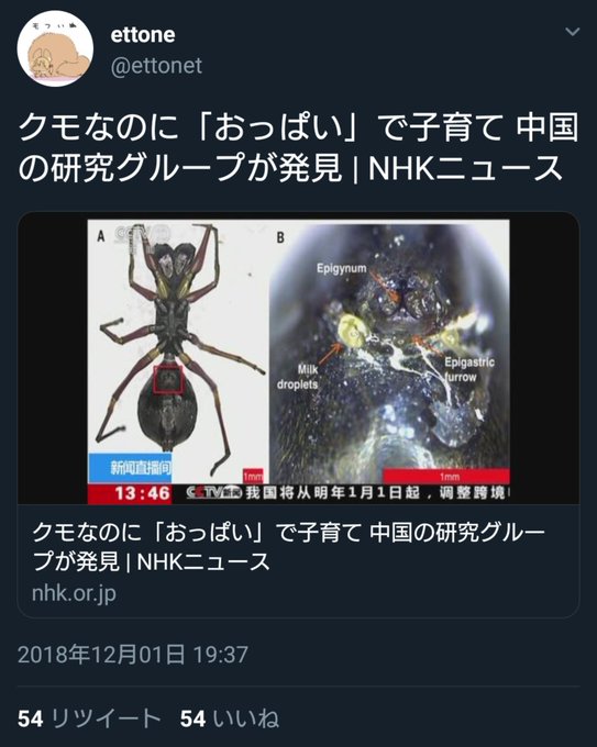 同じ事を考えてしまった。#モン娘 同じ事を考えてしまった。#モン娘