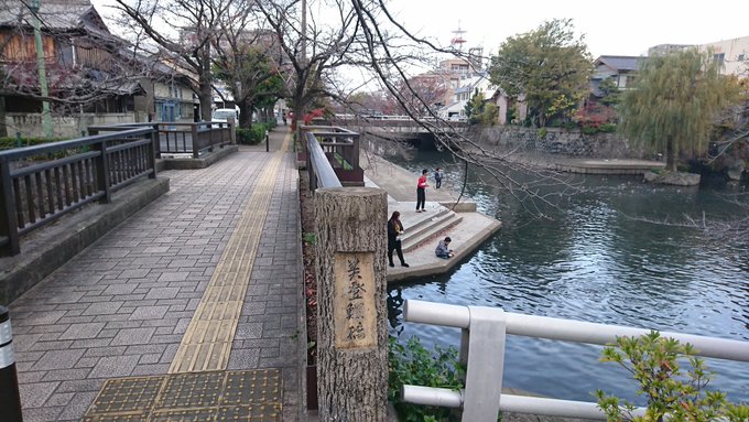 『聲の形』の聖地巡礼に来たよ。餌付けされて堕落した鯉と鴨がうじゃうじゃいる。 『聲の形』の聖地巡礼に来たよ。餌付けされて堕落した鯉と鴨がうじゃうじゃいる。