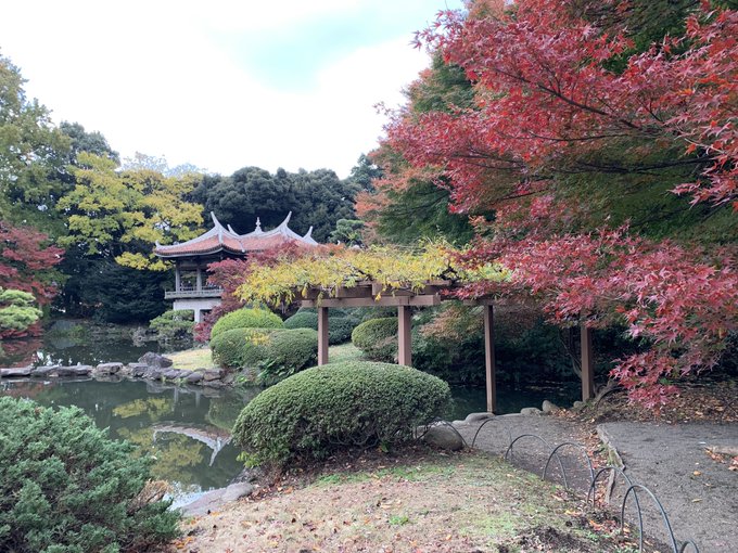 言の葉の庭の聖地に、行って参りました。 言の葉の庭の聖地に、行って参りました。