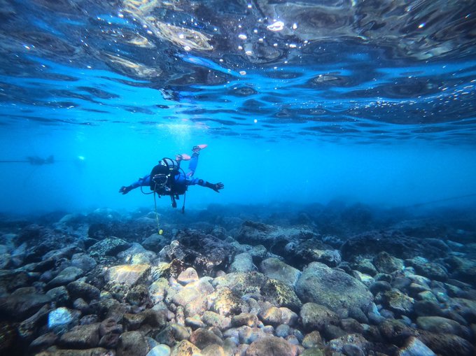 スーパークリアなこの時期のこの海に潜らない理由が見つからない!! あおー!#ダイビング #ダイバー #伊豆 #diver スーパークリアなこの時期のこの海に潜らない理由が見つからない!! あおー!#ダイビング #ダイバー #伊豆 #diver
