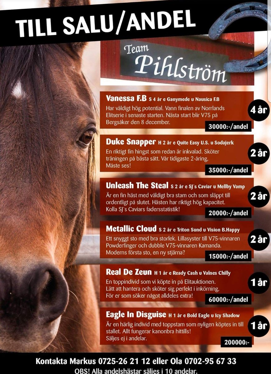 TeamPihlstrom photo