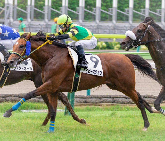 去年と今年、勝利を挙げたときの武藤雅さん(騎乗馬は両方ベイビーステップくん)。2人とも焦らず急がず一歩一歩着実に夢に向か 去年と今年、勝利を挙げたときの武藤雅さん(騎乗馬は両方ベイビーステップくん)。2人とも焦らず急がず一歩一歩着実に夢に向か
