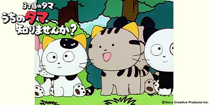 今日は月曜日!タマの日!17:30~『3丁目のタマ うちのタマ知りませんか?』本日は第25話の放送です!はっきりしてよ! 今日は月曜日!タマの日!17:30~『3丁目のタマ うちのタマ知りませんか?』本日は第25話の放送です!はっきりしてよ!